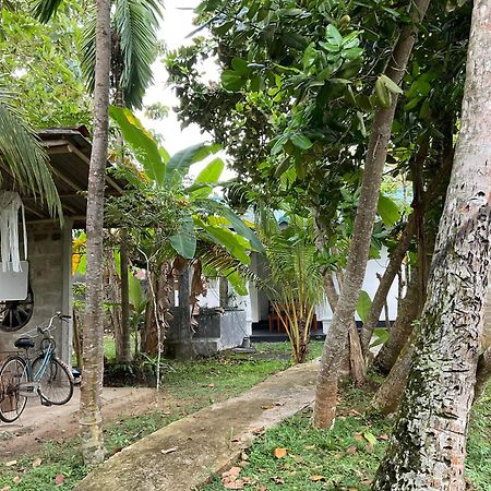 Bird Villa Ґалле Екстер'єр фото