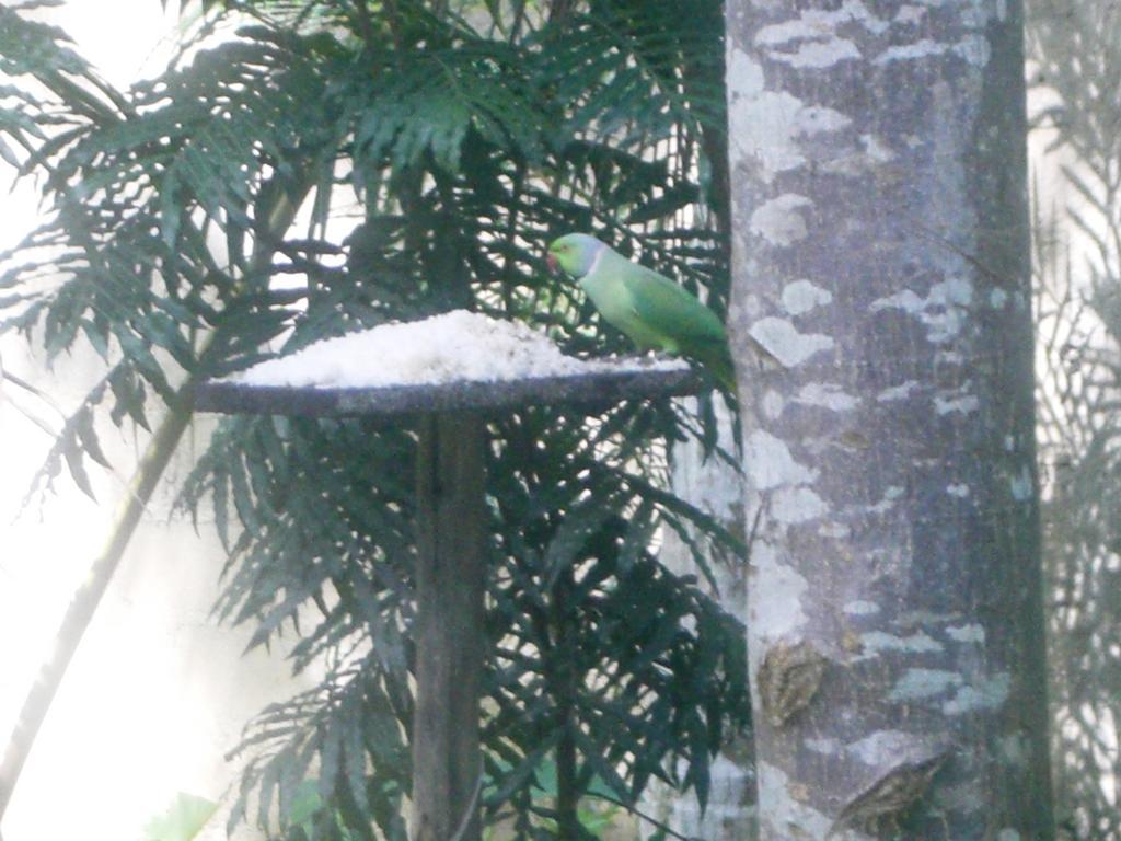 Bird Villa Ґалле Номер фото